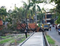 Pembangunan Lapangan Tukbuntung Korbankan Dua Pohon Tua