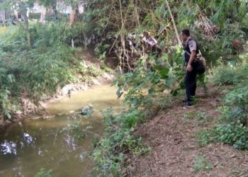 Tercebur Saluran, Nenek 85 Tahun Ditemukan Tewas 4 Tercebur Saluran, Nenek 85 Tahun Ditemukan Tewas