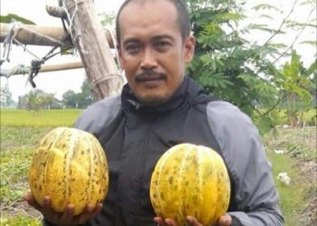 Iwan, Caleg yang Bertekad Perjuangkan Aspirasi Rakyat