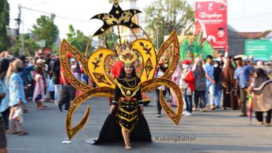 Membludak Karnaval Cepu Sukses Digelar Kota Cepu Dipenuhi Lautan Manusia