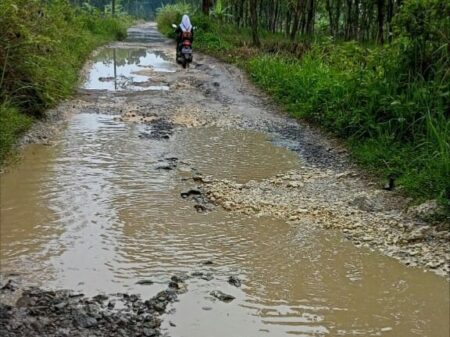 jalan rusak di desa jati kabar cepu kabarcepu