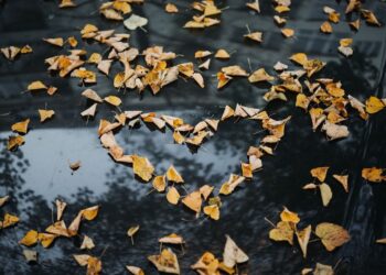 Penasaran? Inilah 5 Tanda si Dia Jatuh Cinta Padamu