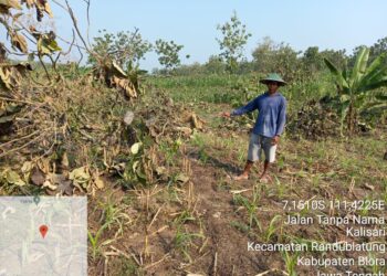 Cerita Petani Hutan Di Randublatung,