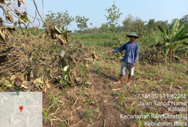 Cerita Petani Hutan Di Randublatung,