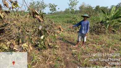 Cerita Petani Hutan Di Randublatung,