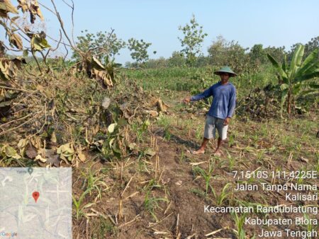 Cerita Petani Hutan Di Randublatung,