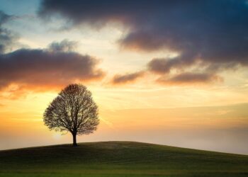 Jomblo itu Pilihan, Bagaimana Memenuhi Kebutuhan Seksualnya? 6 jomblo itu pilihan