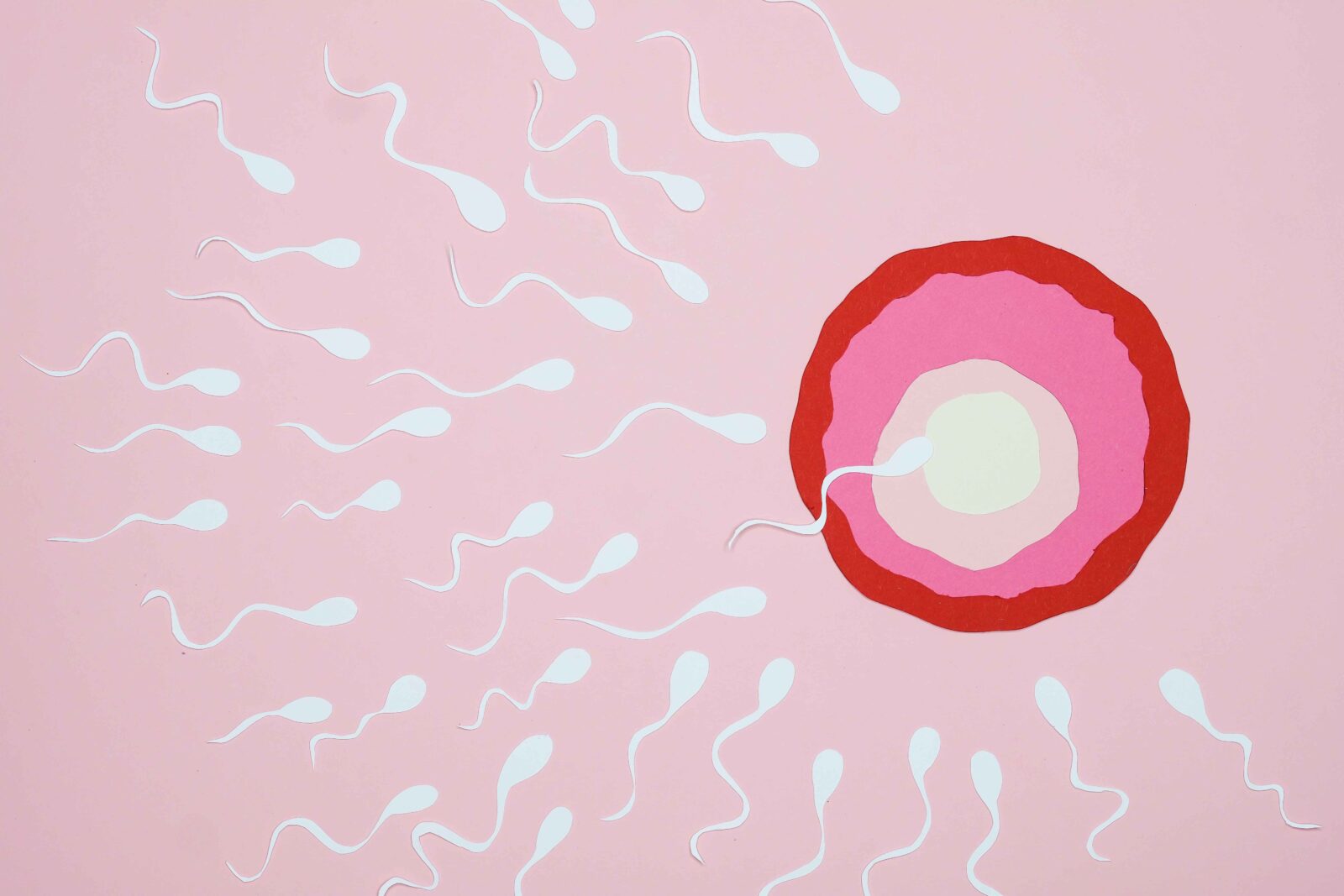 sperma