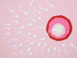 Sperma Sebagai Skincare Alami, Benarkah? Ada 7 Penjelasan