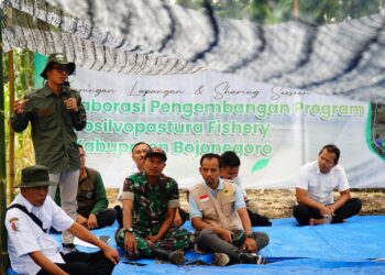 Agrosilvopastura Menjadi Jurus Pertamina EP Cepu Mengembalikan Fungsi Hutan 3 Agrosilvopastura Menjadi Jurus Pertamina EP