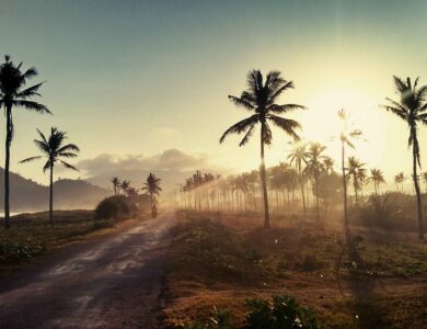 Ini Cara Berkeliling ke Tempat Wisata di Banyuwangi Tahun 2023