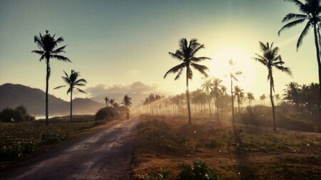 Ini Cara Berkeliling ke Tempat Wisata di Banyuwangi Tahun 2023