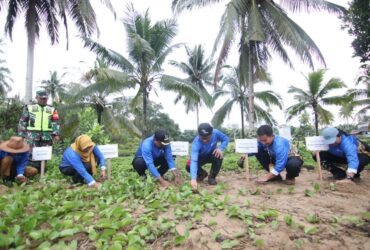 PT Pertamina Hulu Kalimantan Timur Tanam 5000 Mangrove