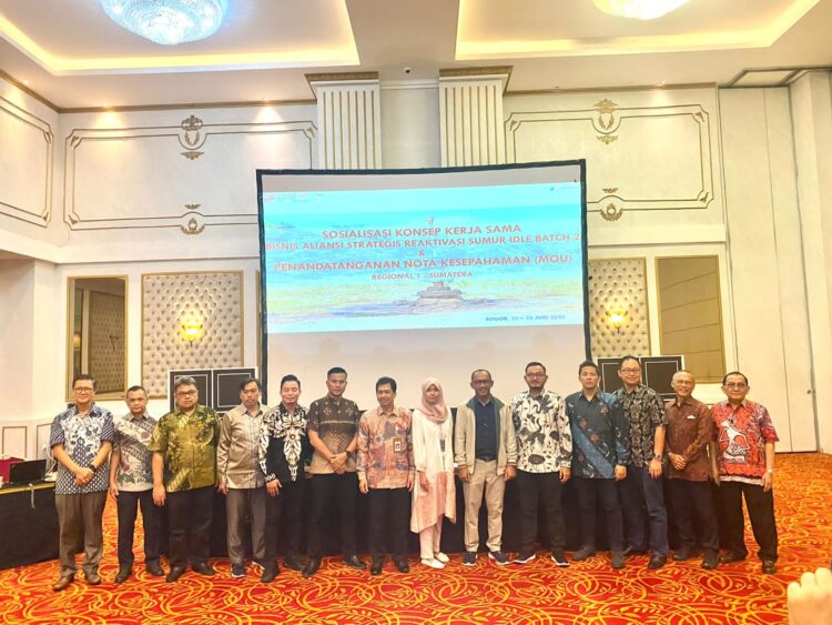 Pertamina Hulu Rokan Bakal Reaktivasi Sumur Idle