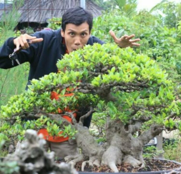 Hobi Unik, Menjelajahi Keindahan dan Keanekaragaman Bonsai Bersama Kapolsek Kradenan