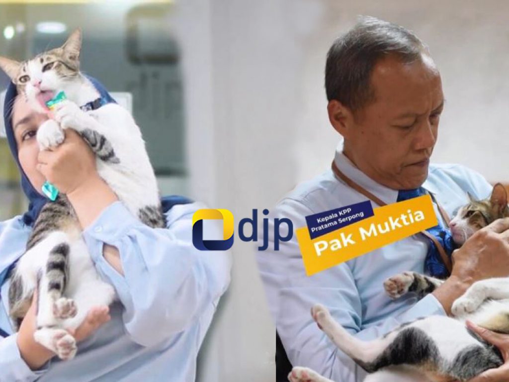 Diangkat Jadi PNS! Ini Gaji dan Jabatan Soleh, Kucing PNS di Ditjen Pajak Kementerian Keuangan