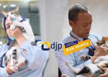 Soleh, Kucing PNS di Ditjen Pajak Kementerian Keuangan