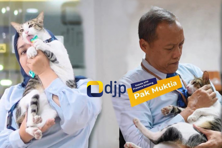 Soleh, Kucing PNS di Ditjen Pajak Kementerian Keuangan
