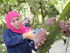 gubernur jawa tengah khofifah saat berada di Wisata di Blitar Kampung Coklat