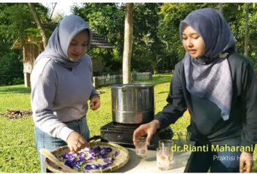 dr. Rianti Maharani merebus bunga telang