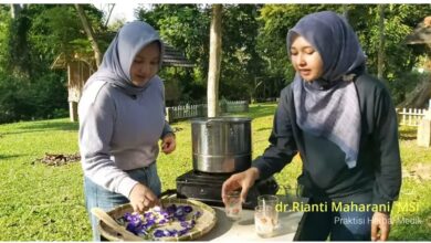 dr. Rianti Maharani merebus bunga telang