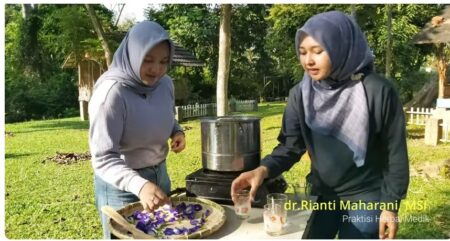 dr. Rianti Maharani merebus bunga telang