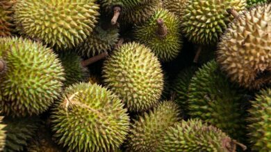 Buah durian di cepu