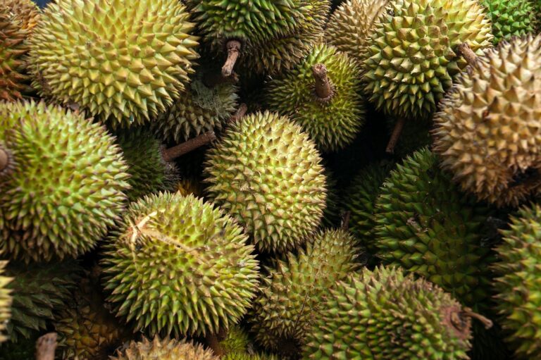 Buah durian di cepu