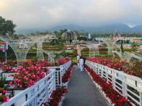 Wisata di Semarang yang Wajib Dikunjungi