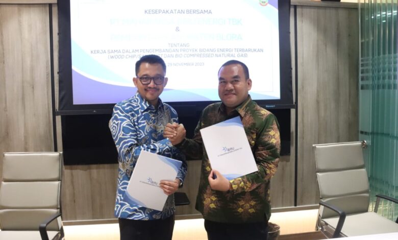 Pabrik Biomassa di Blora Segera Berdiri, Investasi Capai 100 Juta Dolar AS