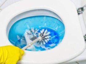 Cara Ampuh Membersihkan Lubang Kloset yang Berkerak Menjadi Kinclong Hanya dengan 2 Bahan