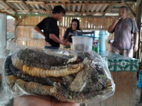 Kuliner Ekstrem, Menikmati Kelezatan Kerupuk Kulit Biawak