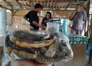 Kuliner Ekstrem, Menikmati Kelezatan Kerupuk Kulit Biawak