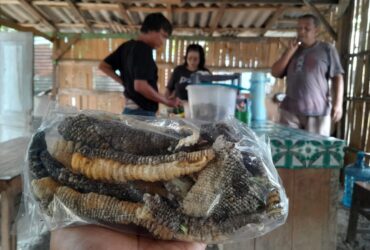 Kuliner Ekstrem, Menikmati Kelezatan Kerupuk Kulit Biawak