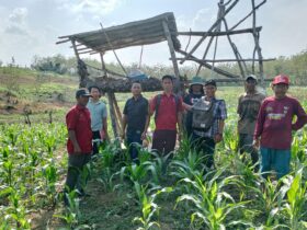 Oknum Perhutani Dilaporkan Petani Hutan ke Polisi, Ini Penyebabnya!