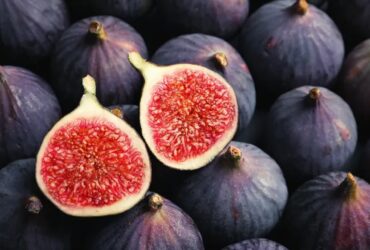 Jangan Salah! Seruapa Tapi Tak Sama, INI Bedanya Buah Tin dan Buah Ara