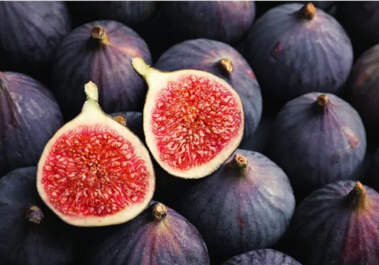 Jangan Salah! Seruapa Tapi Tak Sama, INI Bedanya Buah Tin dan Buah Ara