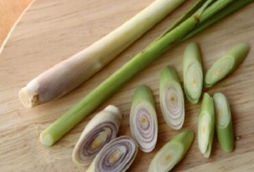 Cara Ampuh Mengusir Nyamuk dengan Bahan Alami di Rumah