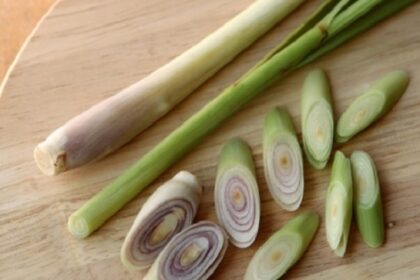 Cara Ampuh Mengusir Nyamuk dengan Bahan Alami di Rumah