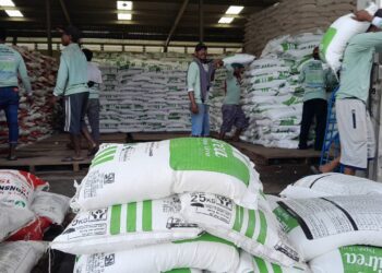 Gebyar Diskon Pupuk 2024: Pupuk Indonesia dan Pemerintah Pastikan Ketersediaan Pupuk Selama Musim Tanam