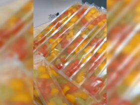 Ide Jualan Paling Menjanjikan : Es Mambo Jelly Buah, Bikin Anak Sekolahan Ngiler