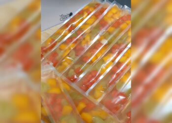 Ide Jualan Paling Menjanjikan : Es Mambo Jelly Buah, Bikin Anak Sekolahan Ngiler