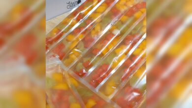 Ide Jualan Paling Menjanjikan : Es Mambo Jelly Buah, Bikin Anak Sekolahan Ngiler