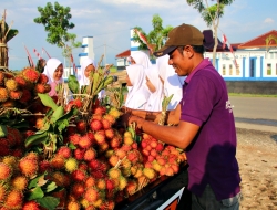 Musim Rambutan Tiba, Pedagang Dadakan Menjamur