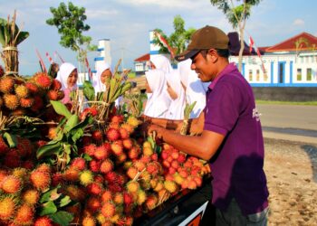 Musim Rambutan Tiba, Pedagang Dadakan Menjamur