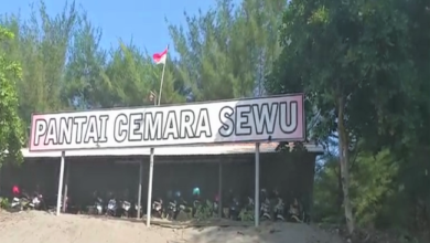 Wisata Tulungagung : Menikmati Keindahan Pantai Sine Cemoro Sewu, Berikut Harga Tiketnya