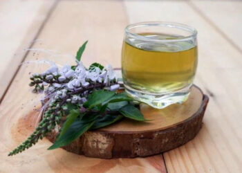 Bisa Dijadiin Teh Herbal! Ini Beberapa Cara Mengolah Tanaman Kumis Kucing Untuk Pengobatan dan Kesehatan 2 Cara mengolah tanaman kumis kucing untuk pengobatan dan kesehatan