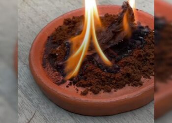 Cara Efektif Mengusir Serangga Menggunakan Kopi