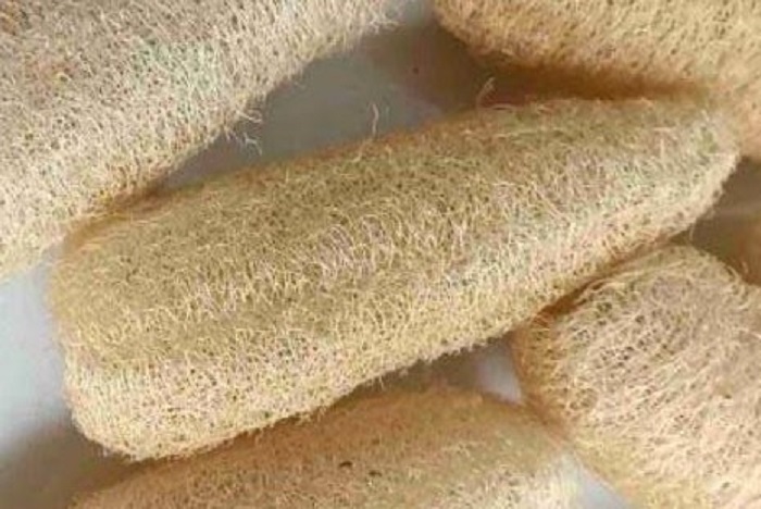 Loofah Spons Ramah Lingkungan dari Sabut Gambas