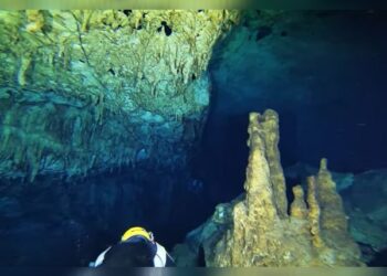 Petualangan Menegangkan! Menyelami Spot Diving Gua Lanto, Gua Gelap Penuh Misteri di Kolong Rumah Warga 14 Diving di Kolong Rumah Gua Lanto Kota Baubau Sulawesi Tenggara Surga Bawah Laut yang Menantang Akal Sehat